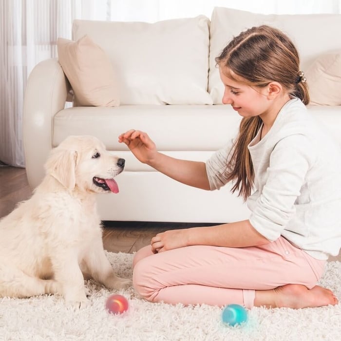 (🌲Early Christmas Sale- SAVE 50% OFF)Smart Cat Toys Automatic Rolling Ball(🎁Buy 3 Get 2 free&Free shipping(5 pcs)