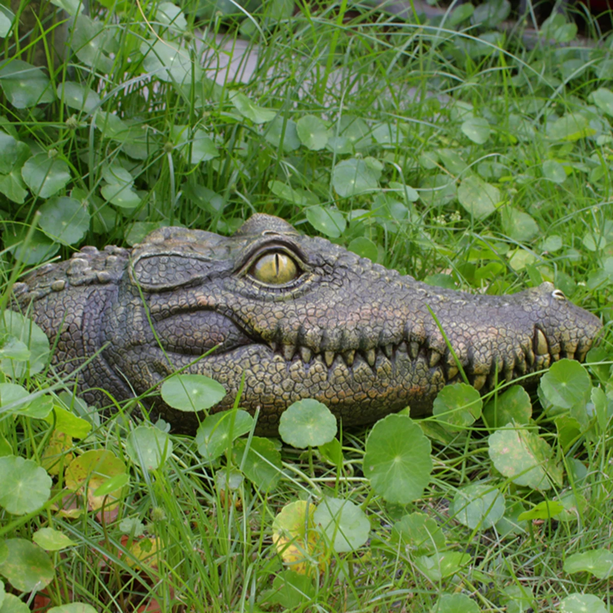 🐊Floating Alligator Head Pool Accessories