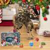 🔥 LETZTE 48 STUNDEN 49% RABATT - 🐱2024 WEIHNACHTS-COUNTDOWN KATZENSPIELZEUG-ADVENTSKALENDER