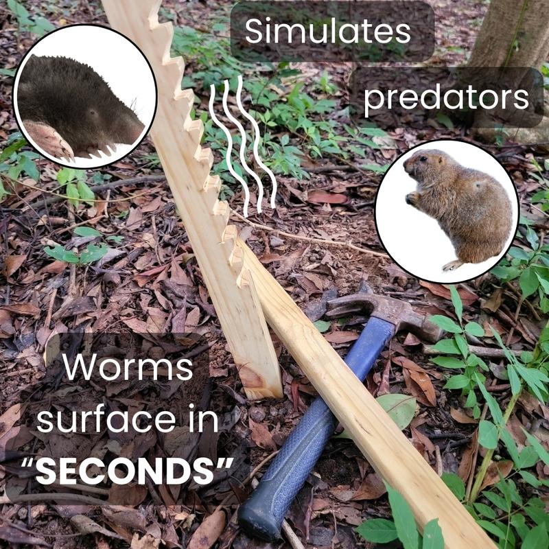 🔥Last Day: 50% Off! 🔥 Worm Popper – The Fun & Easy Way to Call Worms from the Ground