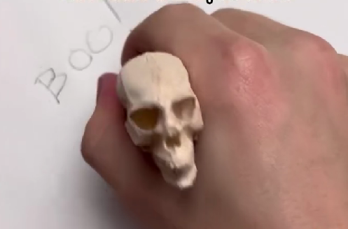 💀Optical illusion skull pen– Inspired by Renaissance Art