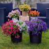🎃Early Halloween Sale 50% OFF🍁Fall Artificial Flowers for Outdoors