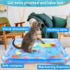 🔥Last Day 50% OFF🔥Thicken Water Sensory Mat for Pet❤️Buy 2 Free Shipping