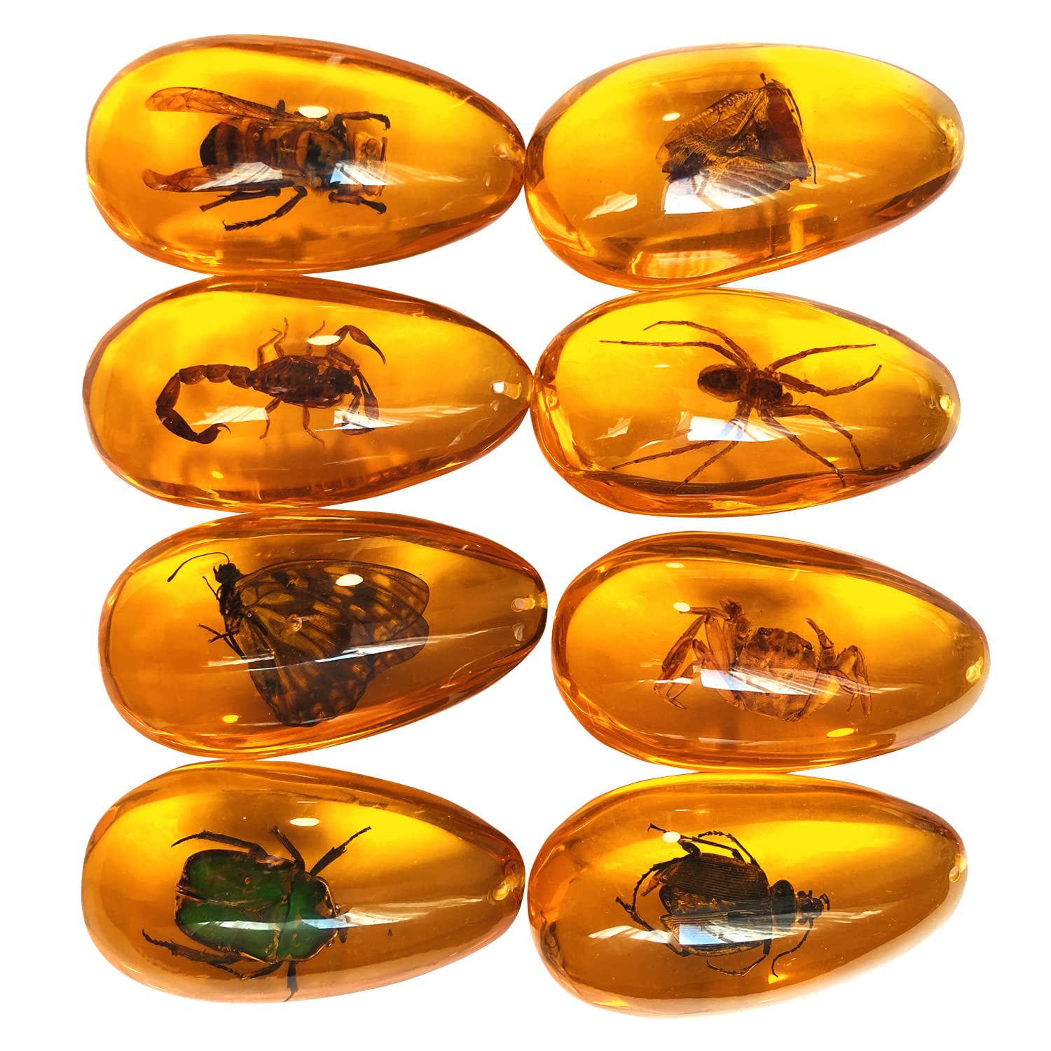 Amber Fossil Insect - Pendant Amber Stone Ornament(🔥Buy 3 get 2 free, 🔥Buy 5 get 5 free！)