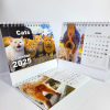 Cats Bells 2025 Calendar