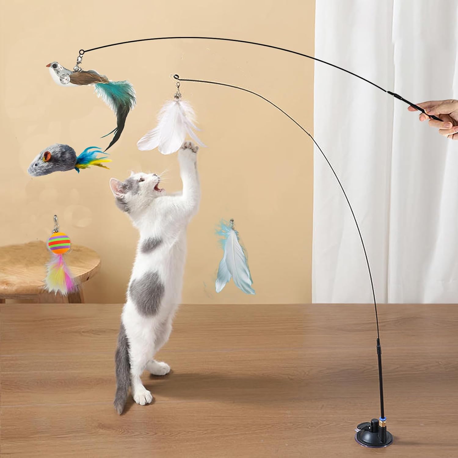 🎁Letzter Tag: 1 kaufen, 1 gratis bekommen😸Interaktives Katzenspielzeug aus natürlichen Vogelfedern