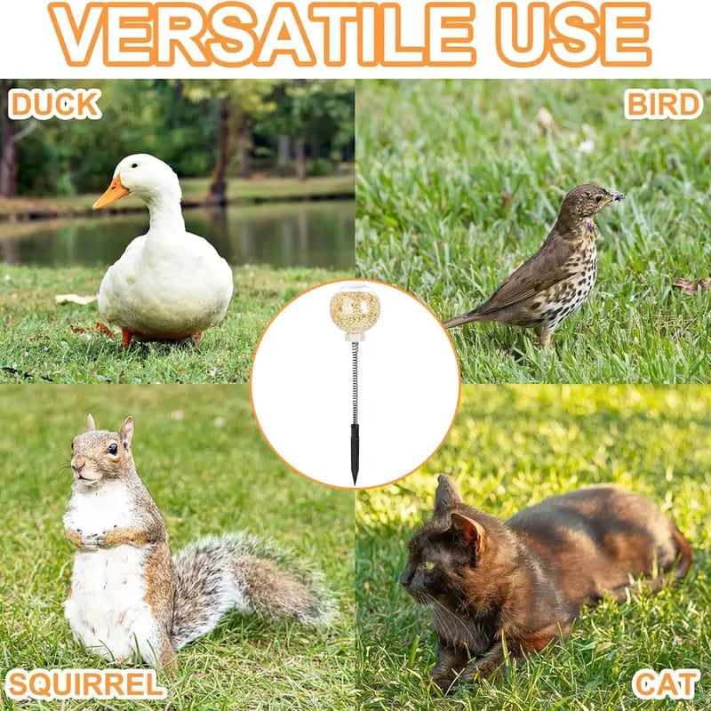 🔥LAST DAY 50% OFF 🐔Ultimate Chicken Peck Toy (2PCS)