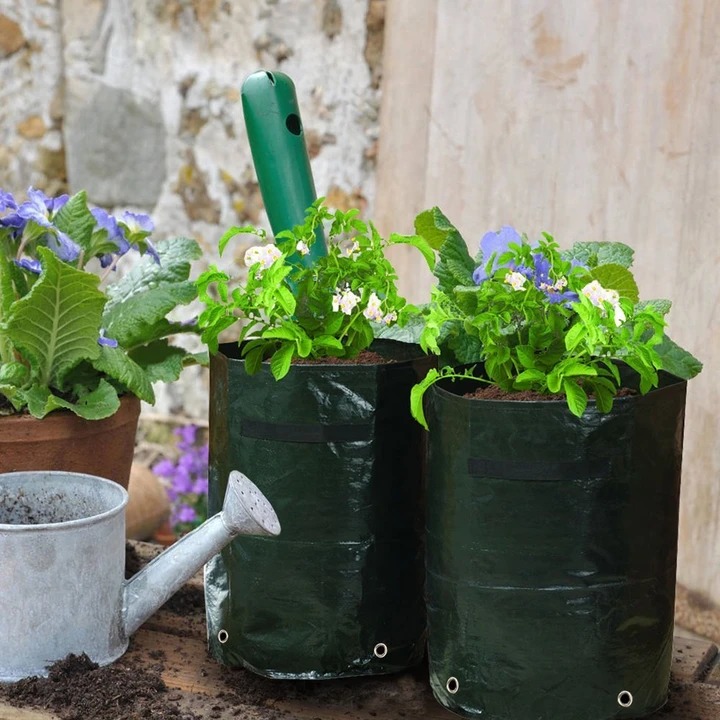 (🔥 Summer Hot Sale - 50% OFF) Potato Grow Planter Bag, Buy 4 Get Extra 20% OFF