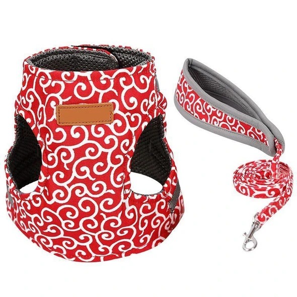 50% Off Cat Vest Harness and Leash Set to Outdoor Walking, Buy 2 Free Shipping