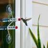 🔥Last Day 49% OFF🔥Nature's Scented Window Hummingbird Feeder🐦