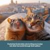 Cat Selfies Cat Calendar 2025