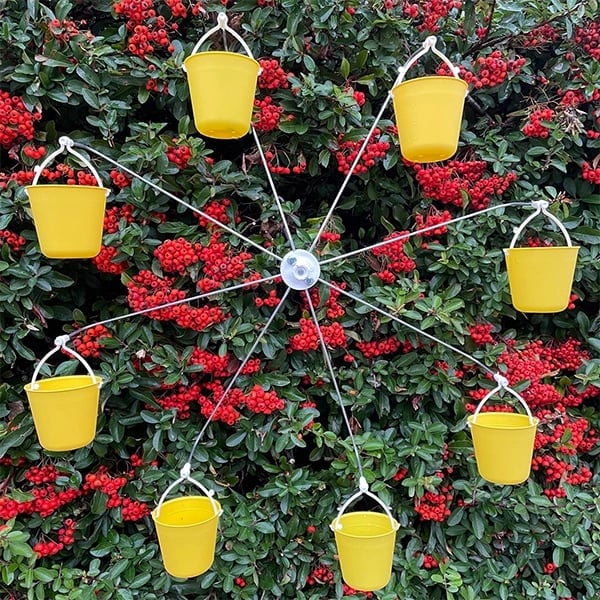 Ferris Wheel Bird Feeder 🐦