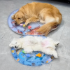 Pet Cooling Water Bed
