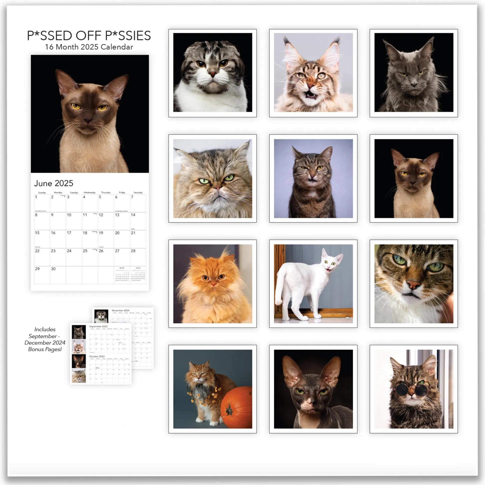 😾2025 P*ssed off P*ssies Angry Cats Calendar