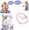 ⚡⚡Last Day Promotion 48% OFF - Talking Hamster Plush Toy(🔥BUY 2 GET EXTRA 5% OFF)