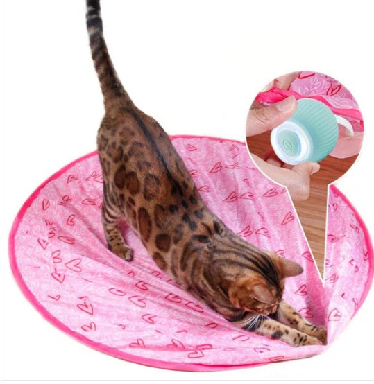 Buy 2 Free Shipping🔥Interactive Cat Hunting Toy