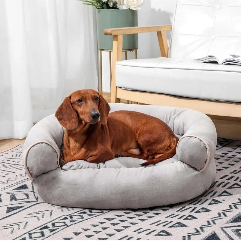 (🔥Hot Sale 50% OFF) 2024 Sofa Dog Bed