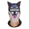 🎁TikTok Last Day Sale - 70% OFF🔥Cute Windproof Cat Balaclava with Ears