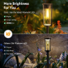 🔥Last Day Promotion 50% OFF💥Solar Pathway Lights