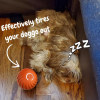 (🔥Last Day Promotions - 49% OFF) 🐶Viral Bouncing Ball