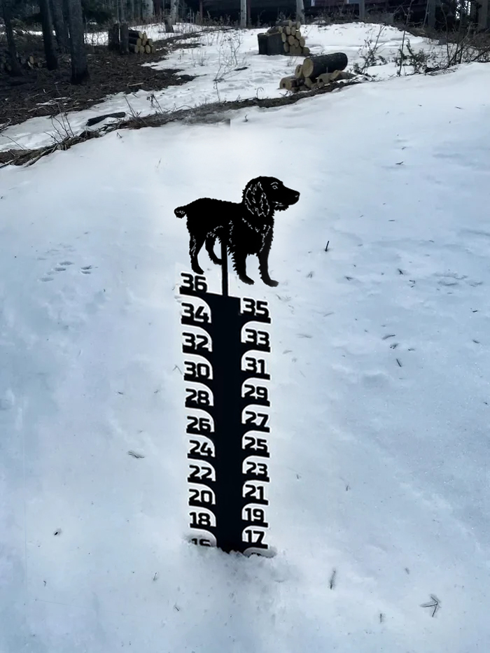 Iron Art Snow Gauge