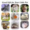 (🎄Christmas Hot Sale - 49% OFF) Natural Silvervine Stick Cat Chew Toy- BUY 3 GET 2 FREE TODAY!