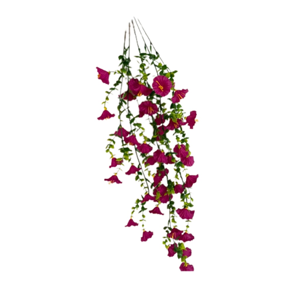 🔥Letzter Tag 50% Rabatt🌺Hängende Prunkwinde