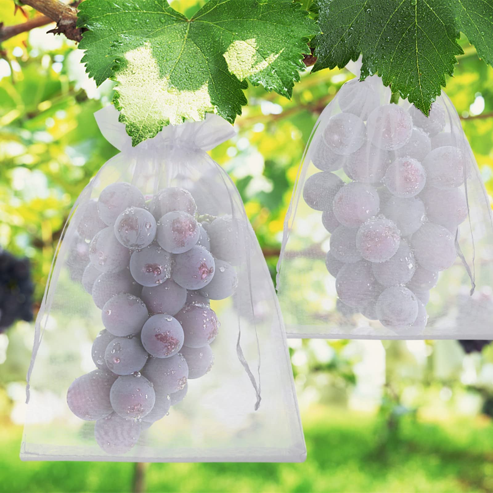 🎁TikTok Last Day Sale - 70% OFF🎉Fruit Protection Bags