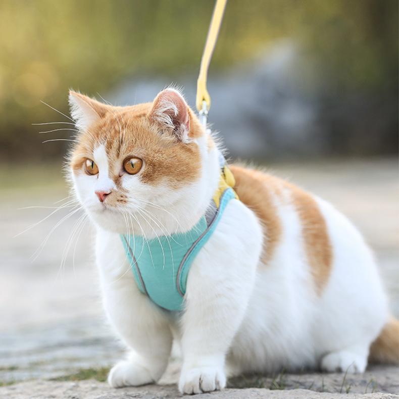 ⚡⚡Last Day Promotion 48% OFF - Luminous Cat Vest Harness and Leash Set（⚡⚡BUY 2 FREE SHIPPING）