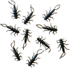 🔥Last Day Sale 60% OFF🔥Creek Bugz - 5 Stonefly Pack