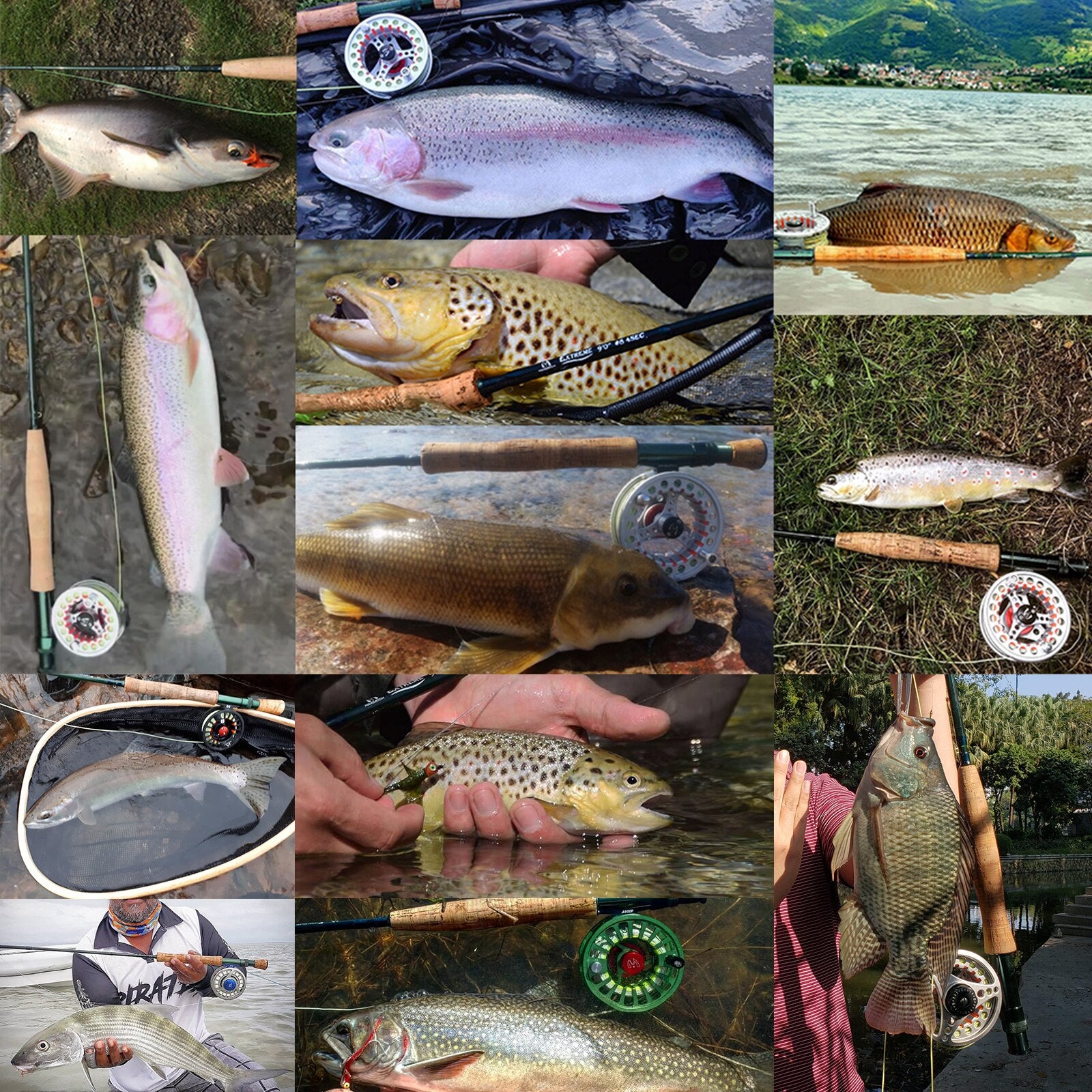 🎣 Summer Sale-50% OFF🐠MAXIMUMCATCH Combo Fishing Rod and Reel