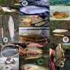 🎣 Summer Sale-50% OFF🐠MAXIMUMCATCH Combo Fishing Rod and Reel