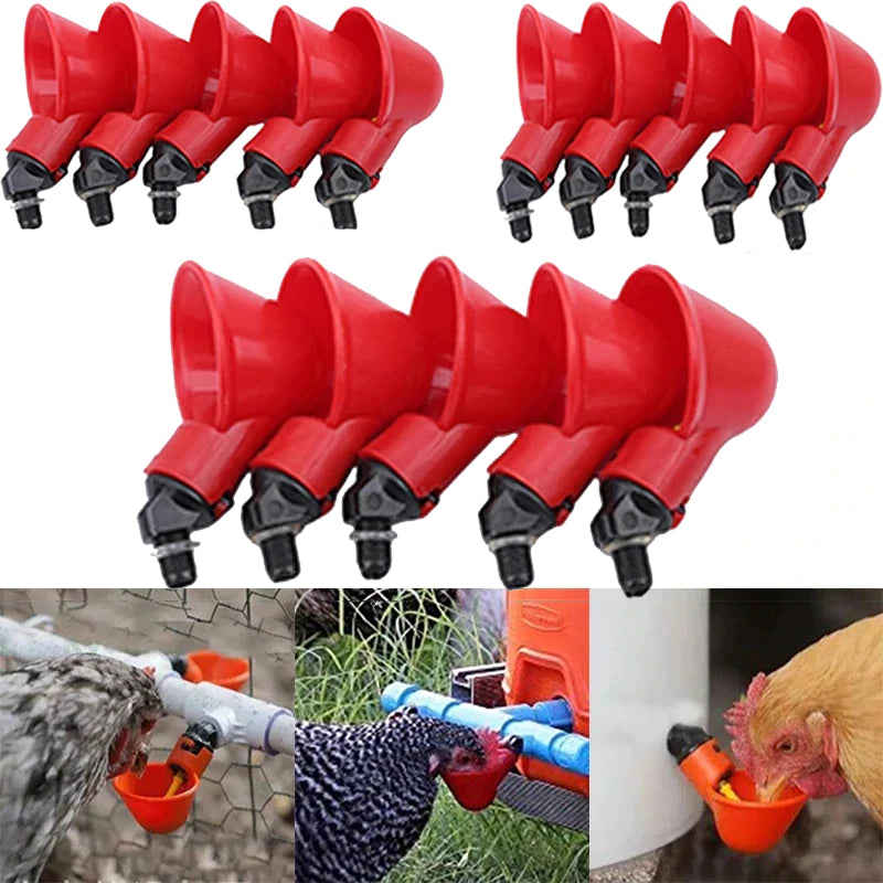 💥Last Day 50% OFF💥Automatic Chicken Water Cup Bird Coop （10 PCS $ 29.99)