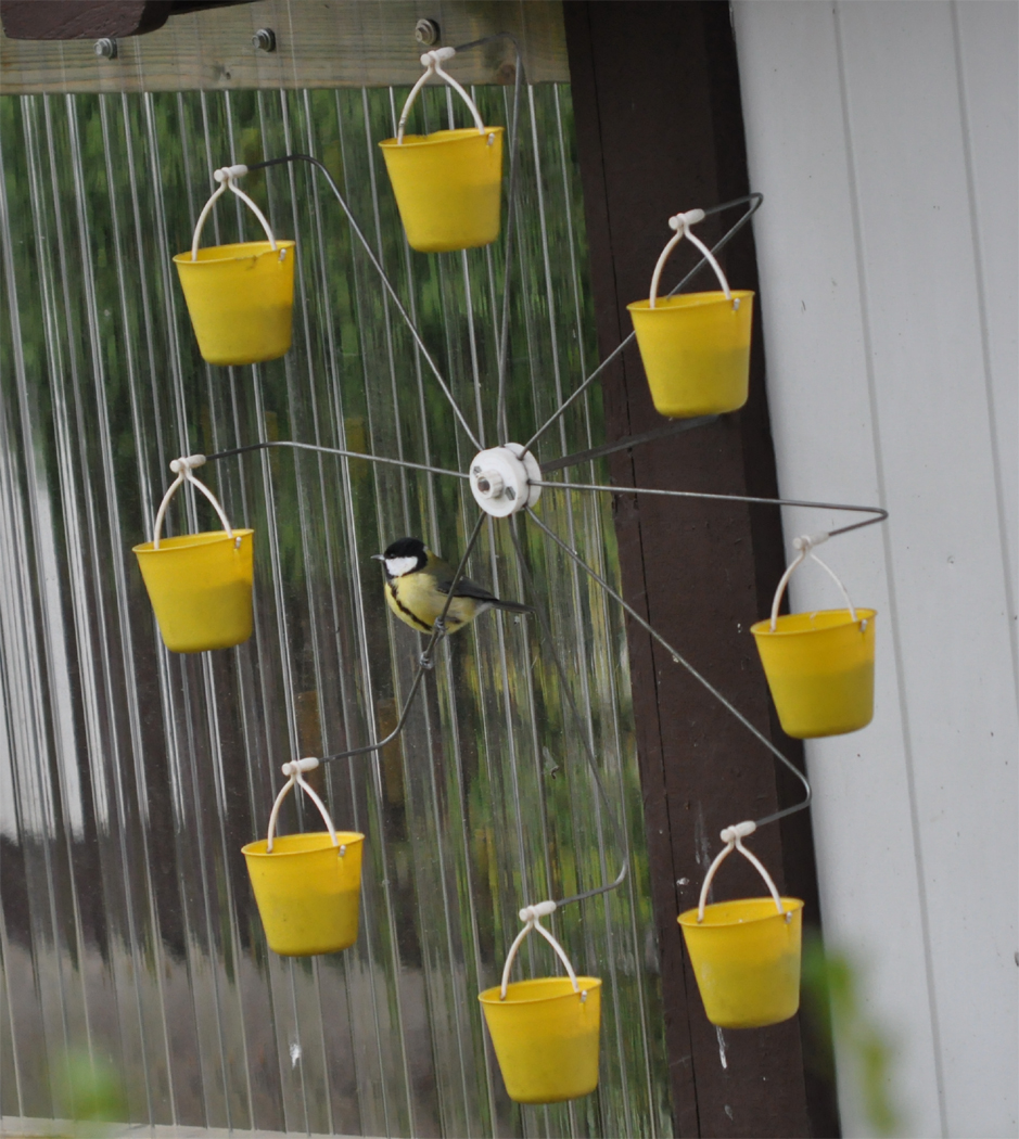 Ferris Wheel Bird Feeder