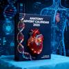 🔥Last Day 50% OFF -🎄2025 Anatomy Advent Calendar