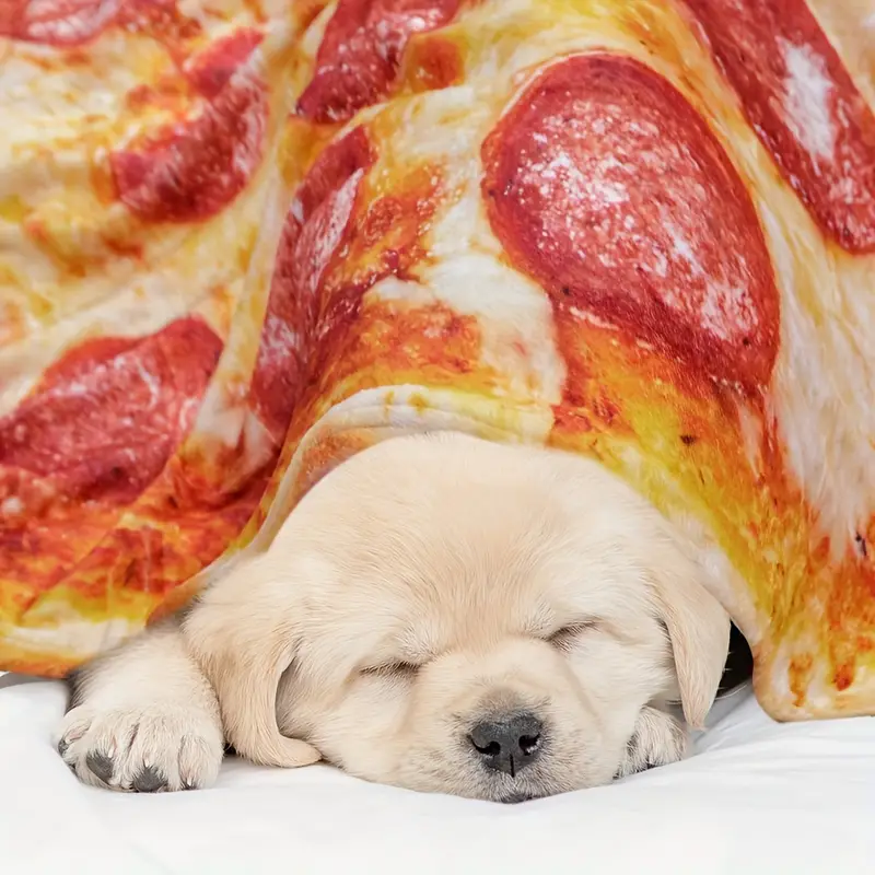 🔥Last Day Promotion - 50% OFF🎁🍕Pizza Blanket