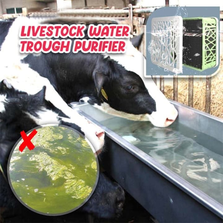 🔥LAST DAY 48% OFF 🔥 Livestock Water Trough Purifier - Buy 2 Free Shipping