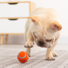 (Christmas Big Sale!- 50% OFF)Dog Bite-proof teeth molar sounding toy, Buy 3 Get Free Shipping