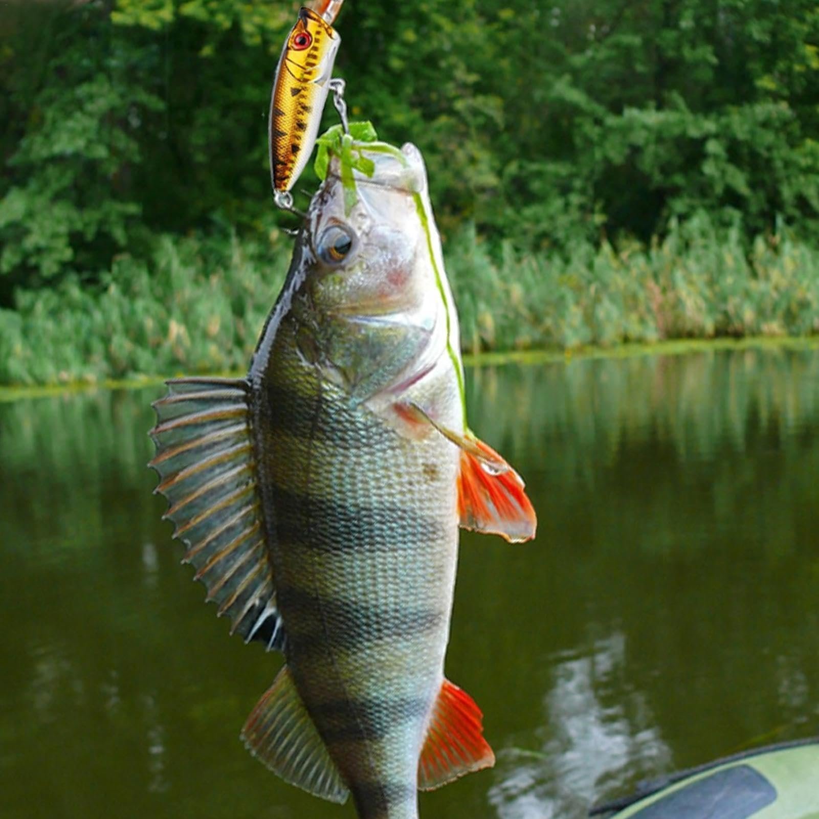 🎄TikTok Christmas Sale -70% OFF✨Fishing Lures Advent Calendar