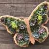 🎁2023-Christmas Hot Sale🎁Animal Succulent Garden Arrangement & BUY 2 FREE SHIPPING