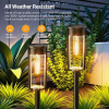 🔥Last Day Promotion 50% OFF💥Solar Pathway Lights