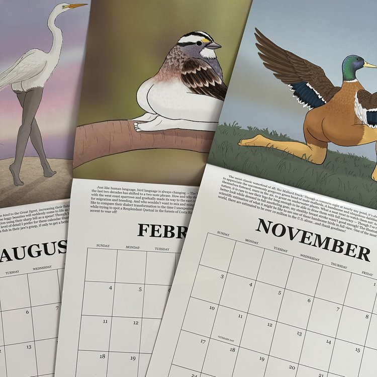 2024 CALENDAR OF EXTREMELY ACCURATE BIRDS USA Tactical