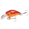 Minnow Fishing Lure