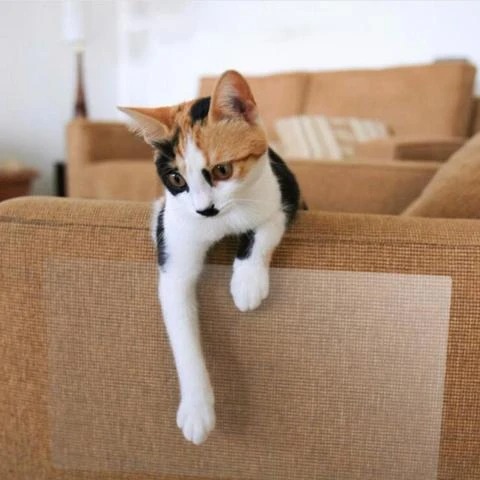 Furniture Scratch Protector 18