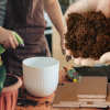 (Last Day Promotion - 50% OFF) Organic Coconut Coir for Plants, BUY 3 GET 2 FREE & FREE SHIPPING