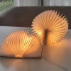 Early Thanksgiving Sell 48% OFF- Book Light (BUY 2 GET FREE SHIPPING)