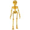 💥LAST DAY SALE 50% OFF🎃3D Printed Vintage Skeleton Magnetic Figurine