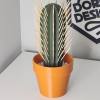 Cactus Toothpick Dispenser (Buy 2 Get Free shipping)