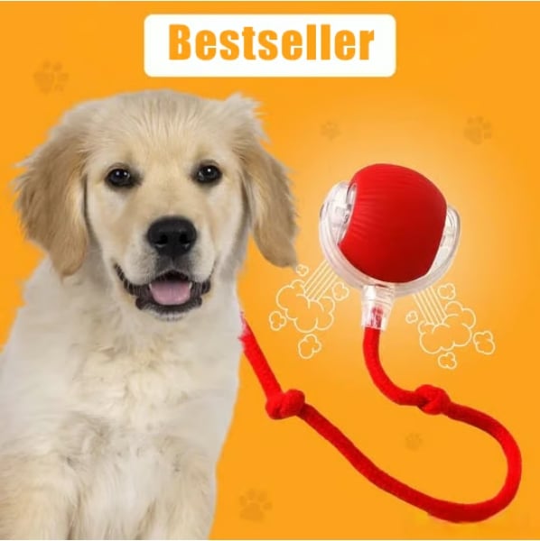 🔥Letzter Tag 49 % Rabatt🔥Interaktives Spielzeug Ball Automatisches Haustier-Übungsspielzeug!😻