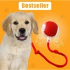 🔥Letzter Tag 49 % Rabatt🔥Interaktives Spielzeug Ball Automatisches Haustier-Übungsspielzeug!😻